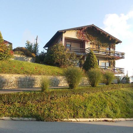 Green Oasis Guest House Sladki Vrh Exterior photo