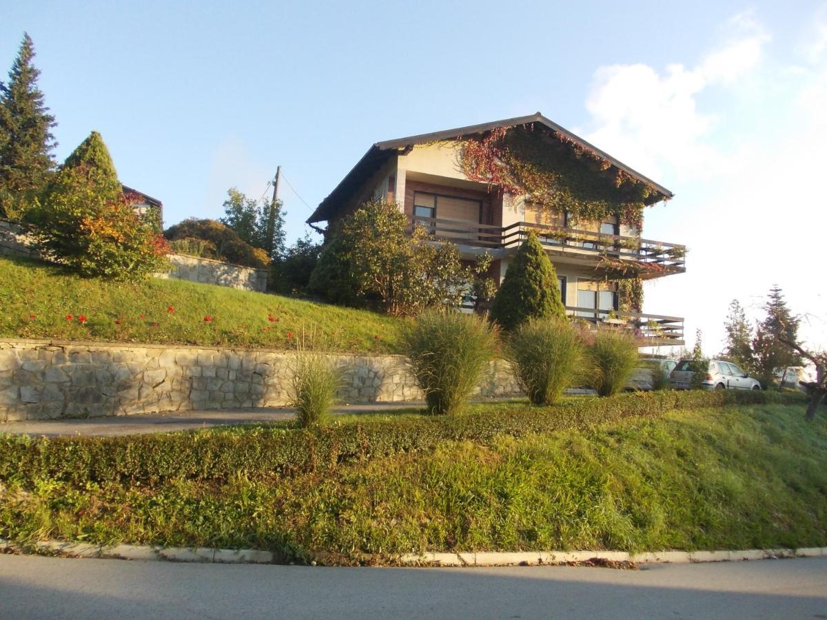 Green Oasis Guest House Sladki Vrh Exterior photo